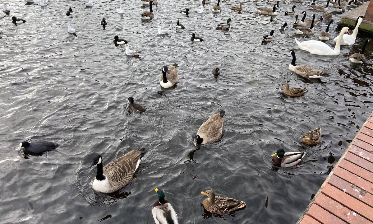 Sutton Coldfield Villa | The Sutton Villa