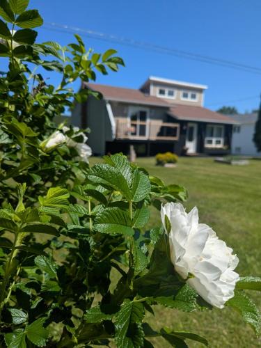 Lewisporte House | The Tidehouse
