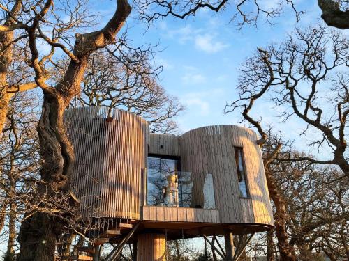 Bankend House | The Treehouse Caerlaverock - Uk45028