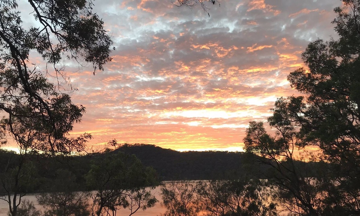 Milsons Passage House | The Treehouse @ Milsons Passage (Water Access Only!)