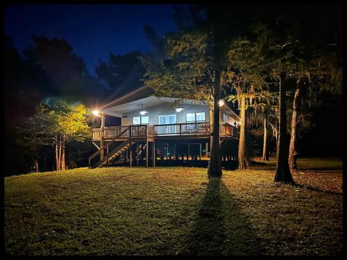 Doyline House | The treehouse