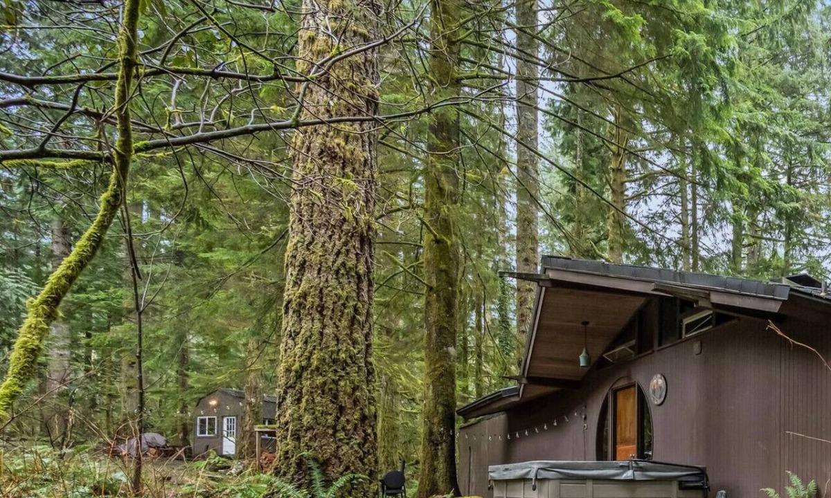 North Bend Cabin | The Treehouse + Writer`s Cabin~ Hot tub