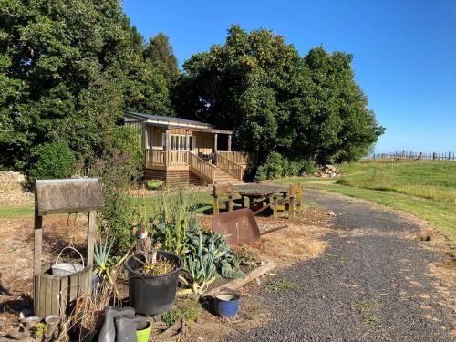 Ohauiti House | The Treehut
