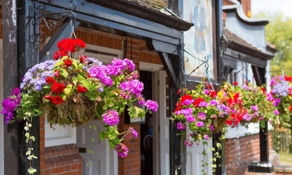 New Forest District Hotel | The Trusty Servant