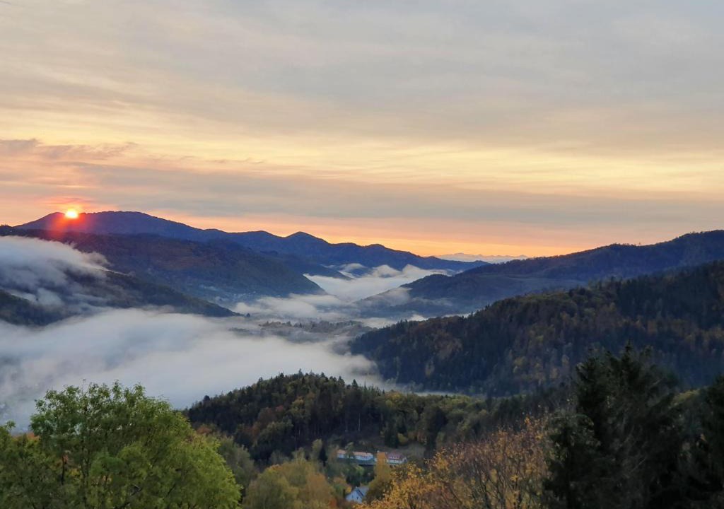 Fellering Apartment | The View Fellering