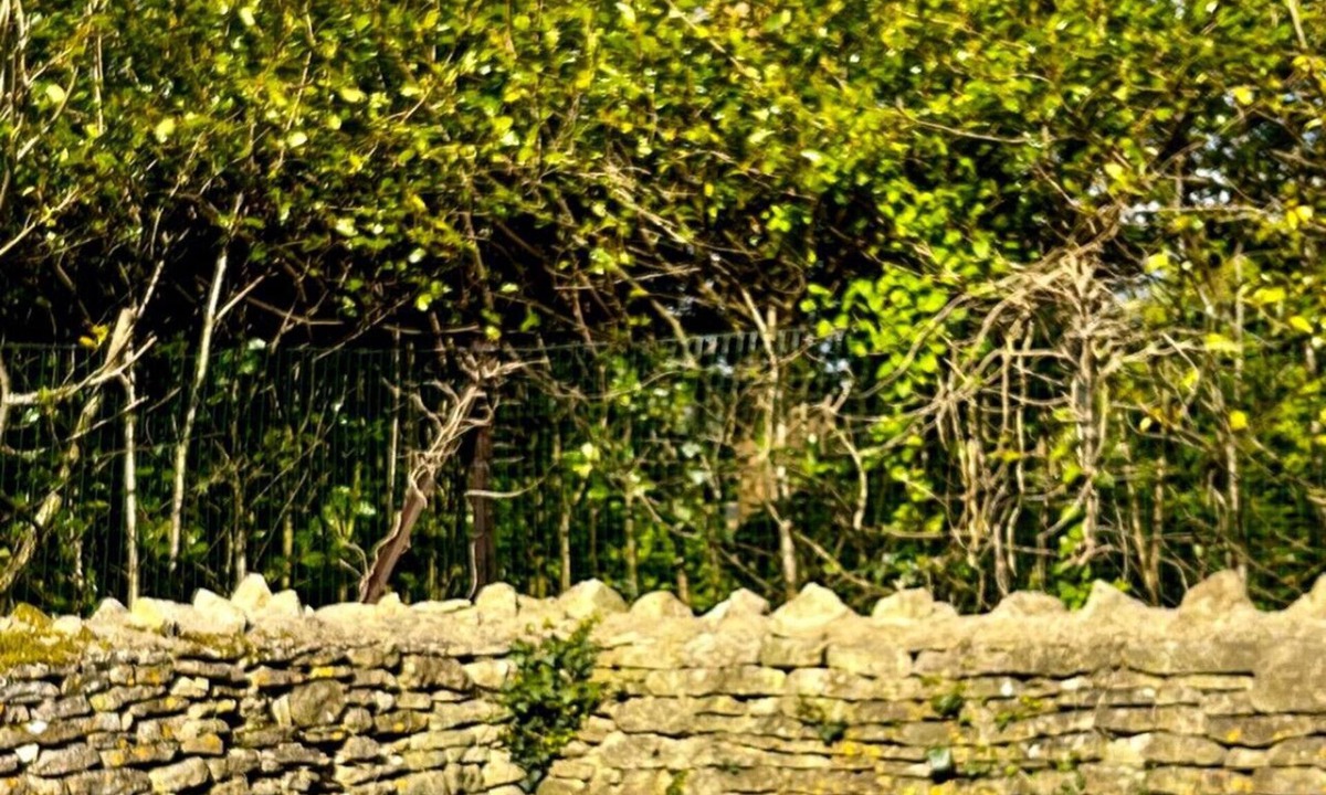 Coberley House | The Villa - Rustic Chic 3BD with Private Garden!