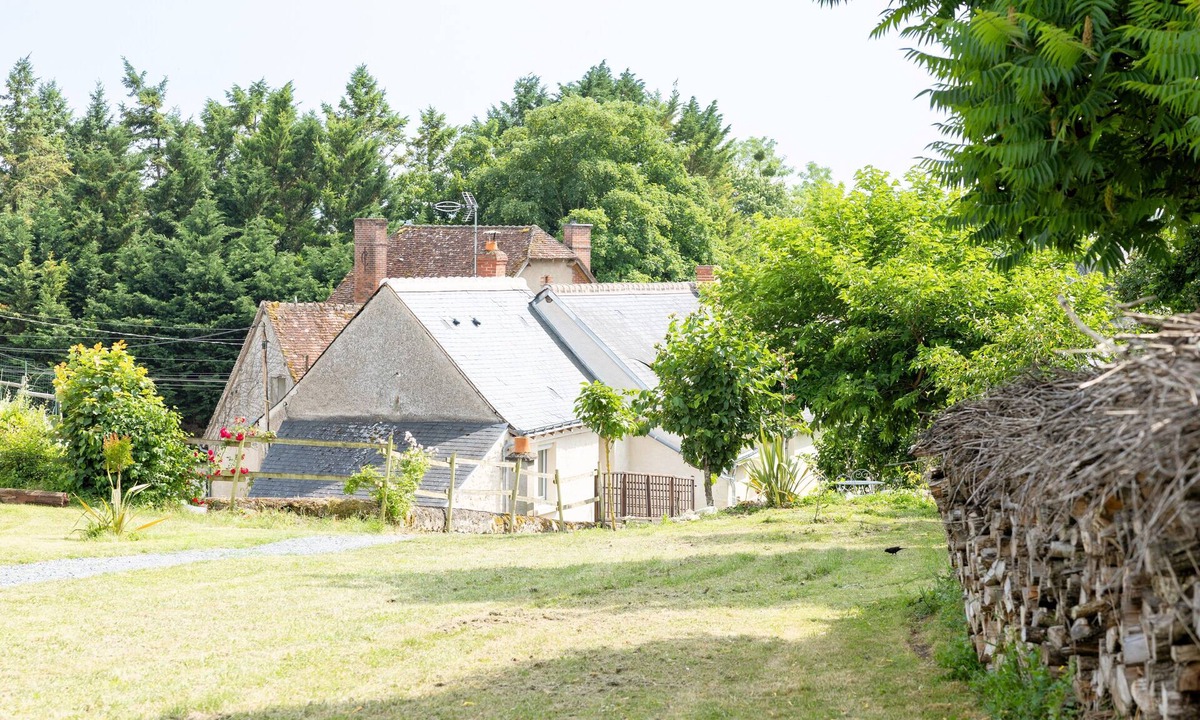 Noizay House | The vine's thread