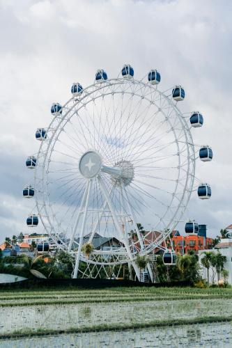 Berawa Other | The Wheel Bali
