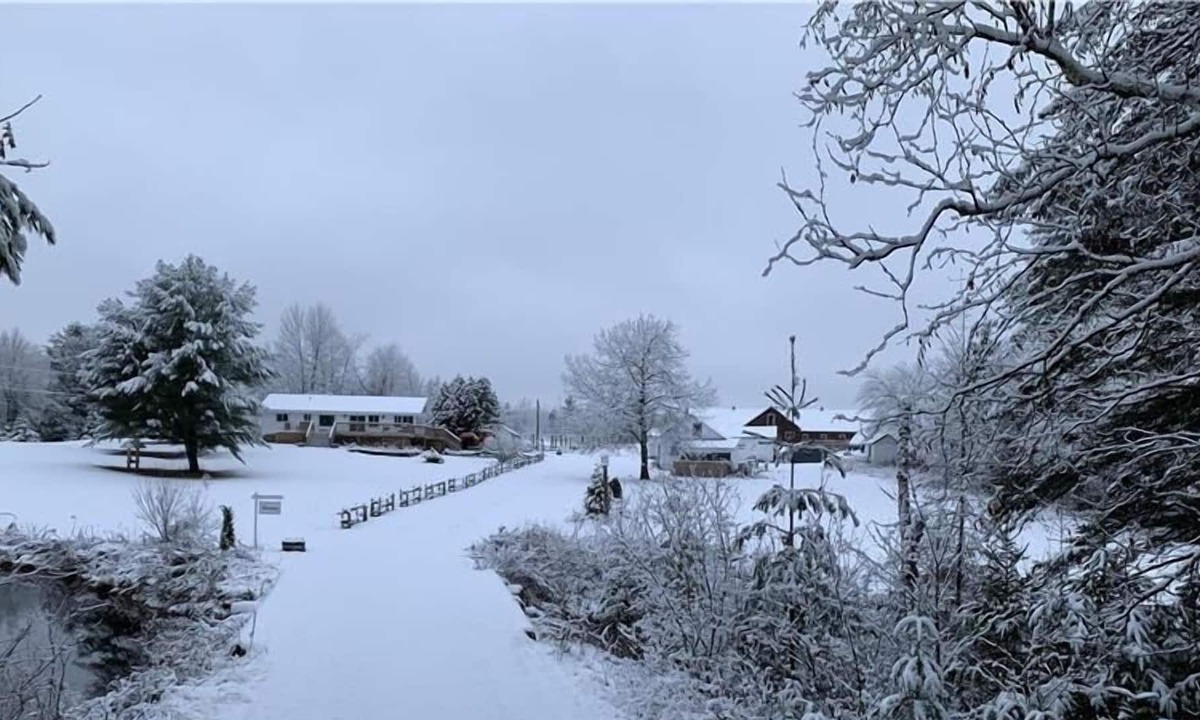 Lachute Ski Chalet | The White Hare / Le Lièvre Blanc