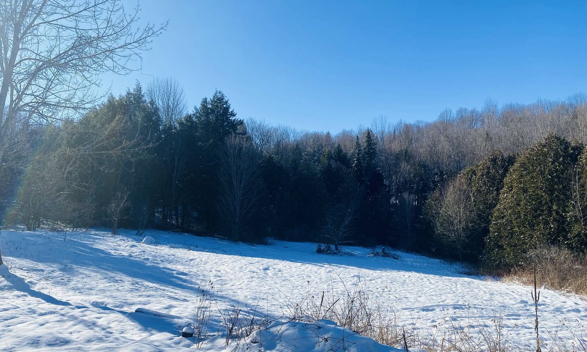 Orleans Cabin | The Wilderness Cabin