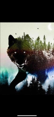 L'Amable Villa | The Wolfs Den
