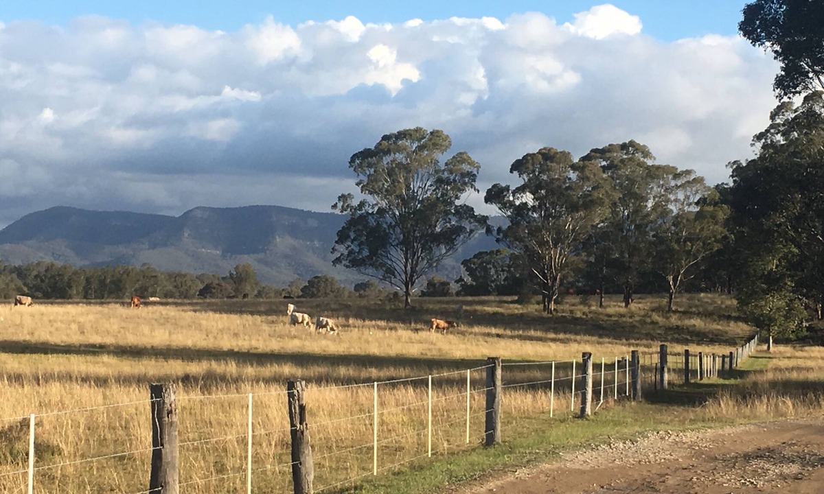 Pokolbin Apartment | The Woodcutter’s Shed Hunter Valley