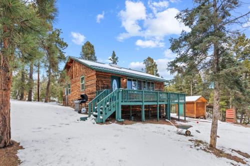 Woodland Park House | The Woodland Bear Cabin near National Forest