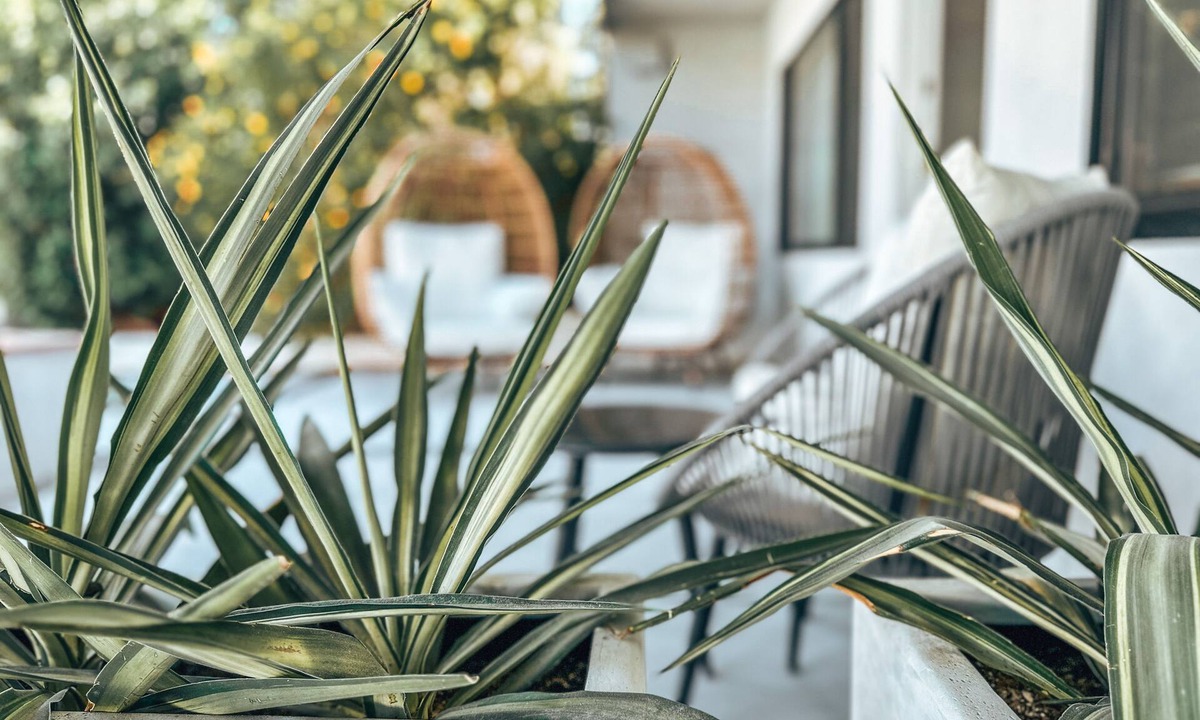 Desert Hot Springs House | The Yucca Hotel