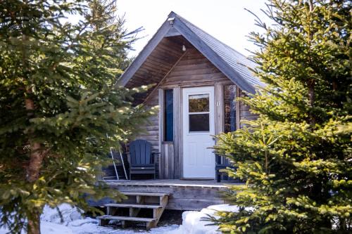 Birch Plain Other | The Zzzz Moose Camping Cabins