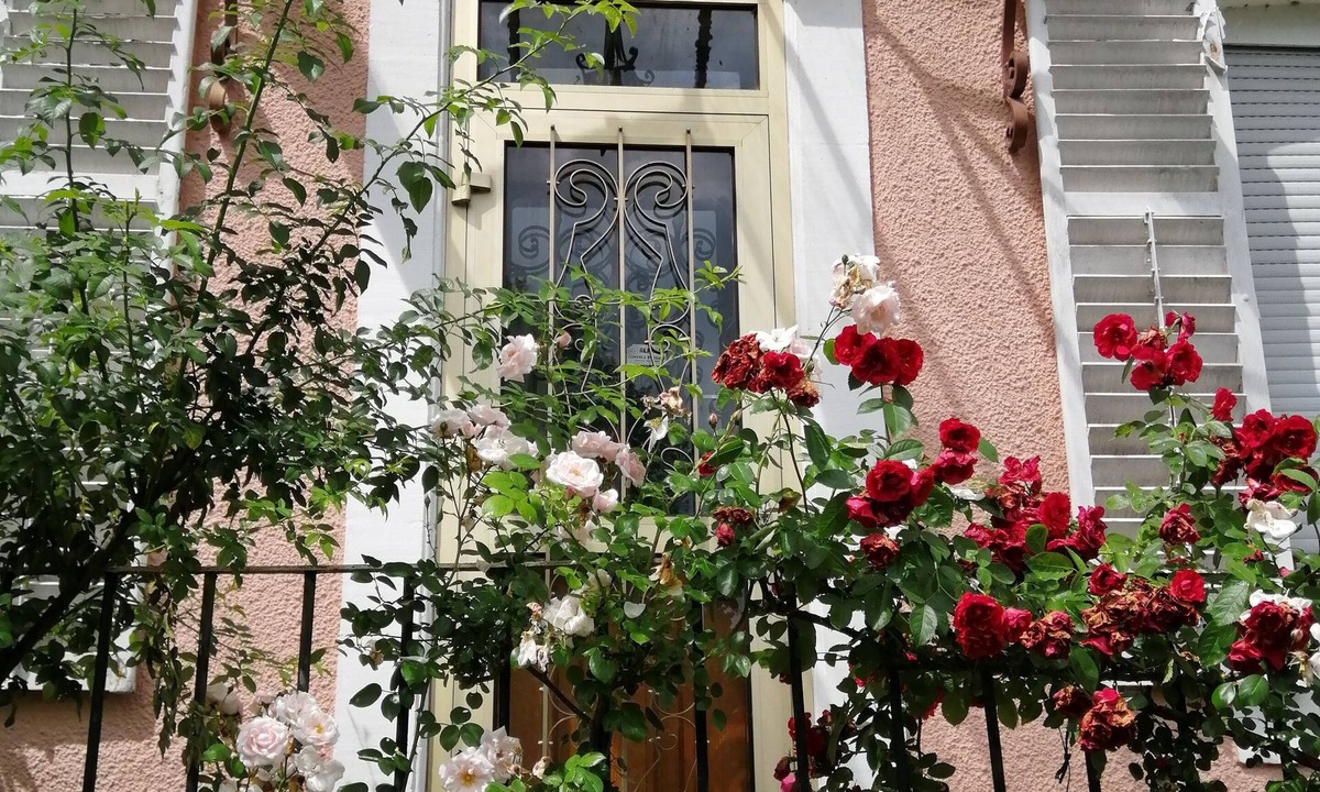 Contrexeville Bed & Breakfast | Thermal studio rental Contrexéville