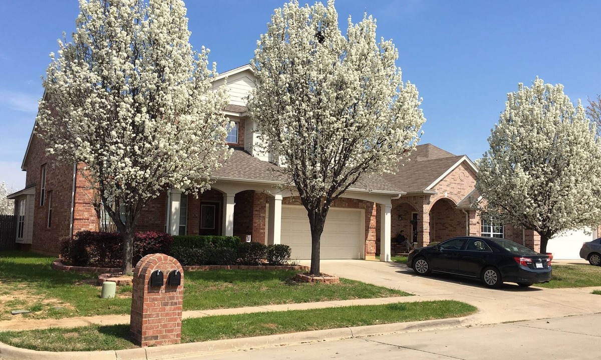 Central Arlington House | This Texas Oasis Home in a quiet neighborhood with easy access to IH-30