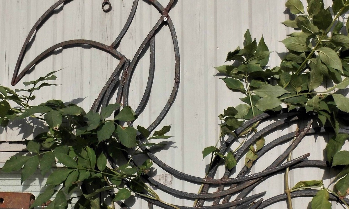 Thisted Bed & Breakfast | Thisted Øst Bed & no Breakfast