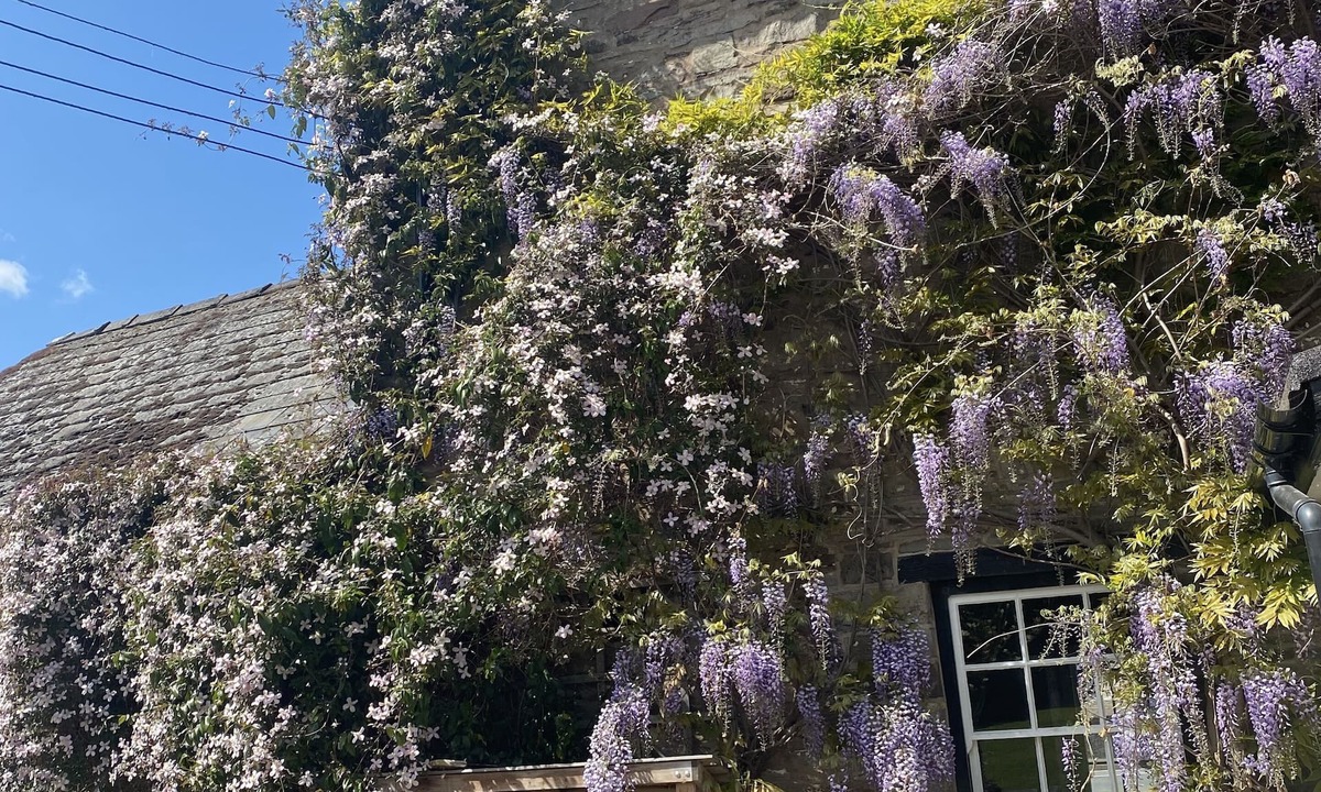 Three Cocks Bed & Breakfast | Three Cocks Hotel