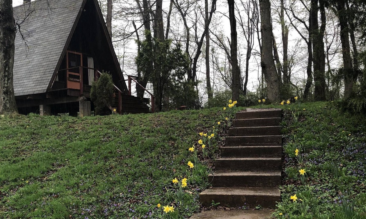 Airville Cabin | THREE SEPARATE CABINS on 128 Acre Forest Park and Nature Reserve