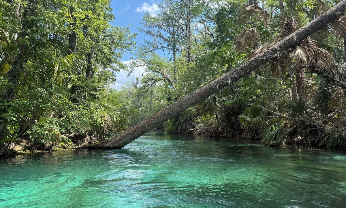 Candler House | Thrive By Nature- Peaceful 2 Bedroom & 2 Bath Ocala