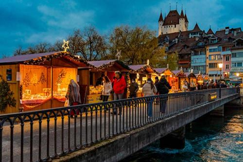 Thun Apartment | Thun Center Apartment Close to Lake and Shops