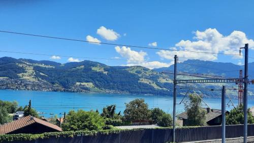 Einigen Apartment | Thunersee View Studio