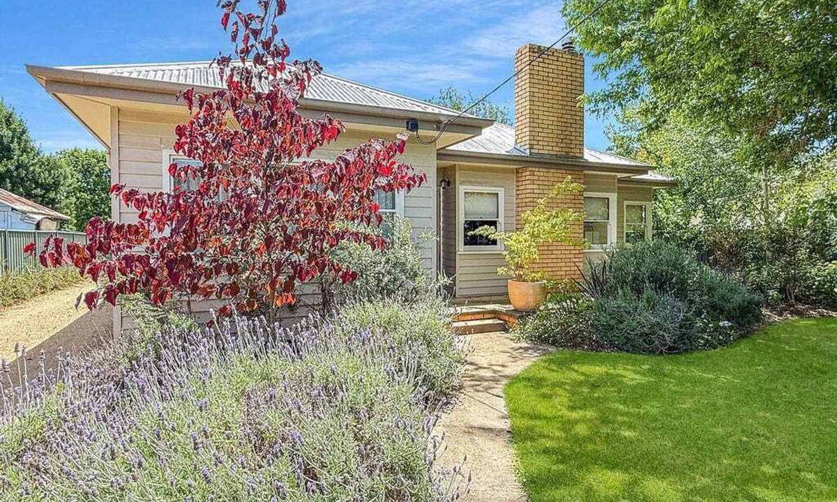 Mansfield Resort | Tickety-Boo on Collopy