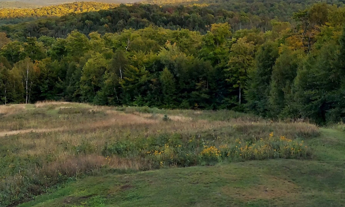 Lyndon Center House | Timber-frame home on 96 acres with view of White Mountains