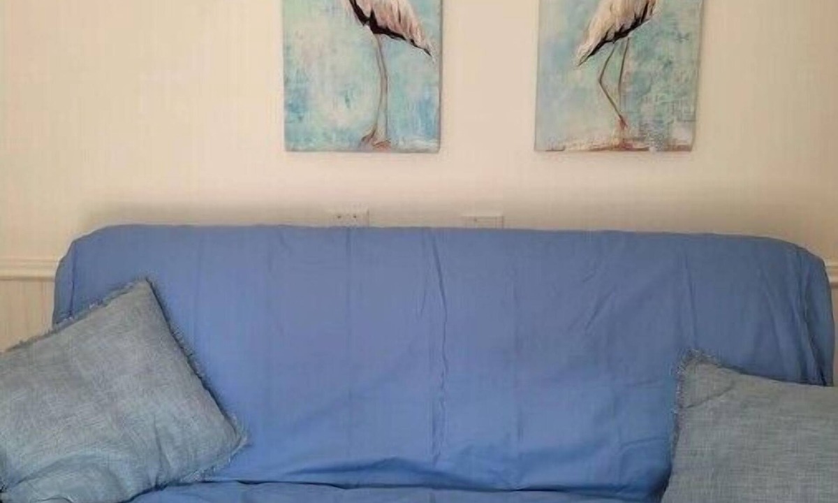 Eastville Apartment | Tiny Guest House