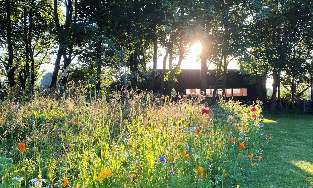Randers House | Tiny house by Bjerregrav Marsh and nature