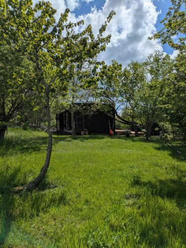 Vordingborg House | Tiny House Overlooking Nature
