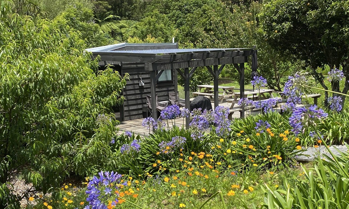 Whangamata Cabin | Tiny Studio - Near New