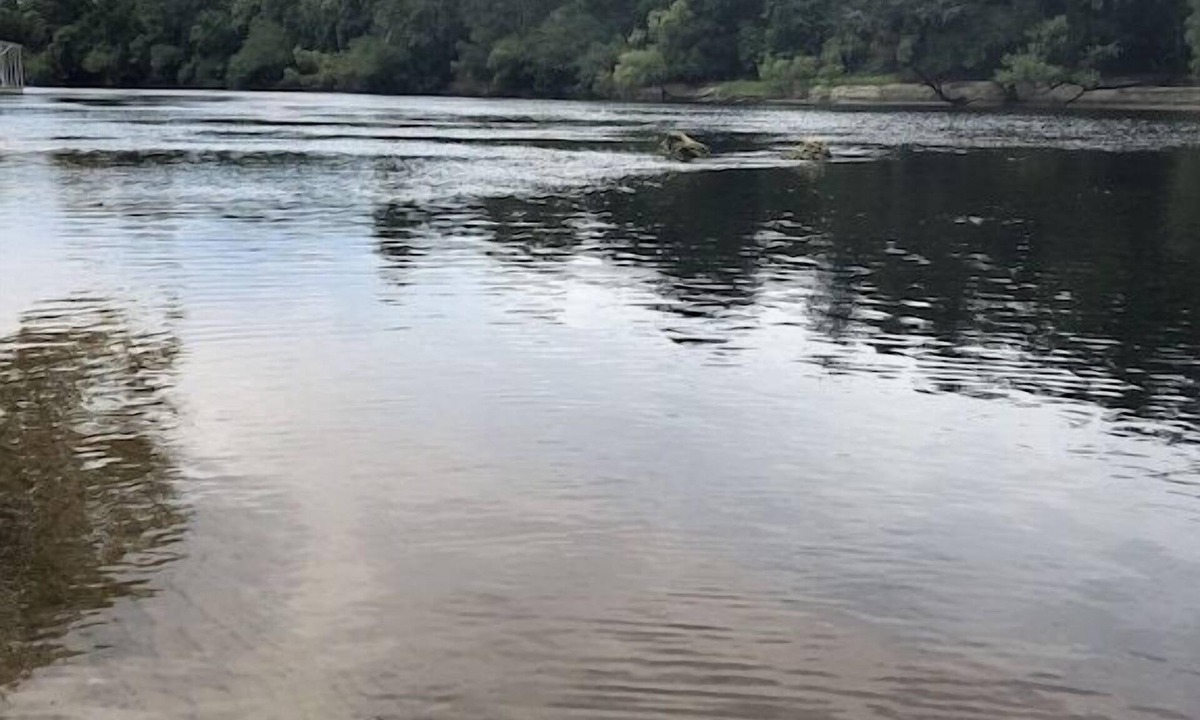 Branford Cabin | Tiny Twig @ Lynch Camp Inn