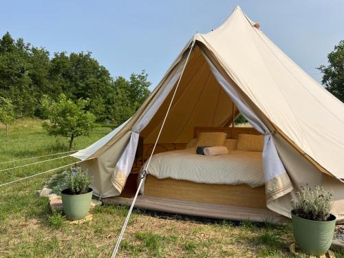Montclus Other | Tipi au Murmure du Champs