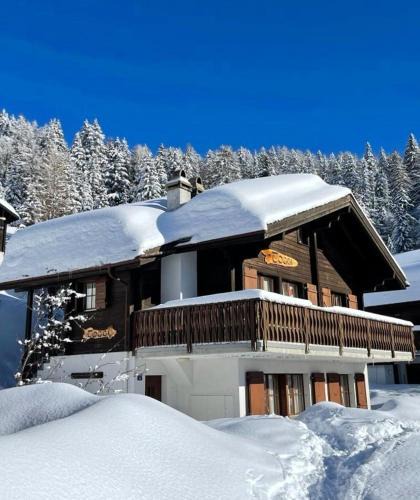 Bettmeralp Apartment | Toggi OG