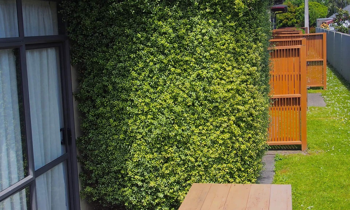 Trentham Hotel | Totara Lodge