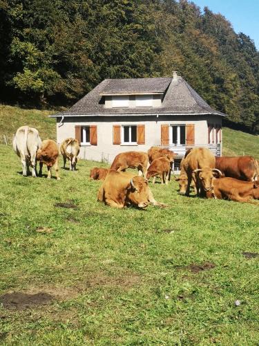Campan Ski Chalet | Tourmalet
