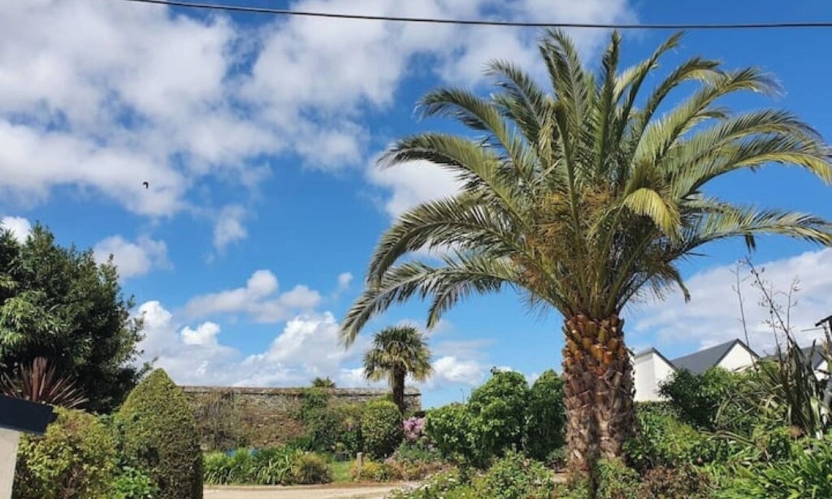 Henvic House | Traditional house in Henvic, green garden, close to the sea.