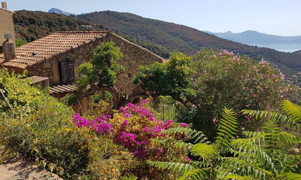 Partinello House | Traditional house, spectacular view of the Gulf of Porto