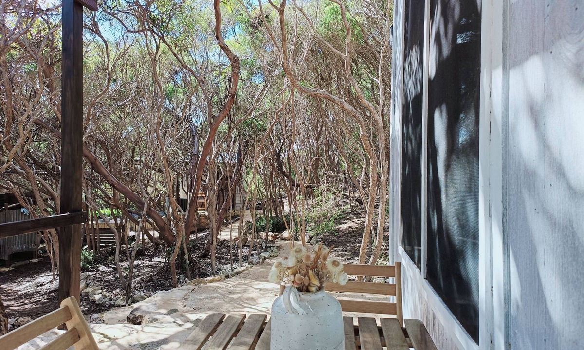 Newland House | Tranquil getaway amongst Melaleucas