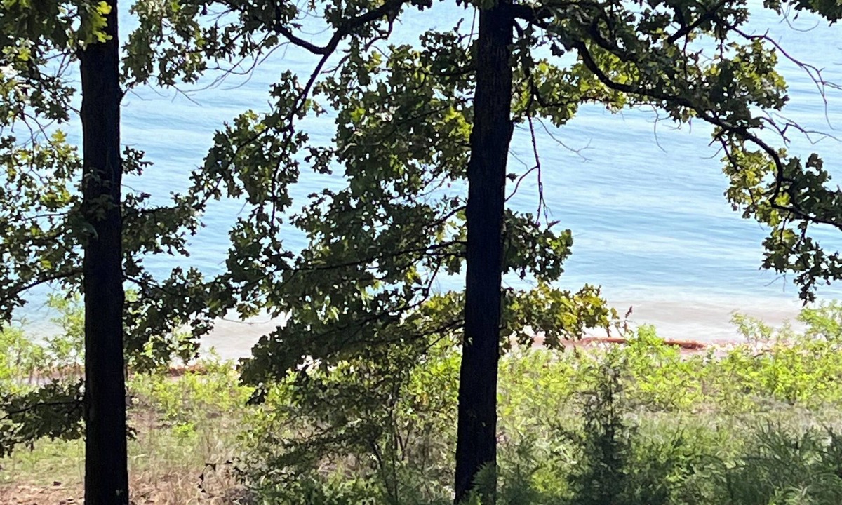 Higden Cabin | Tranquil lakefront 1-bedroom cabin on Greers Ferry Lake
