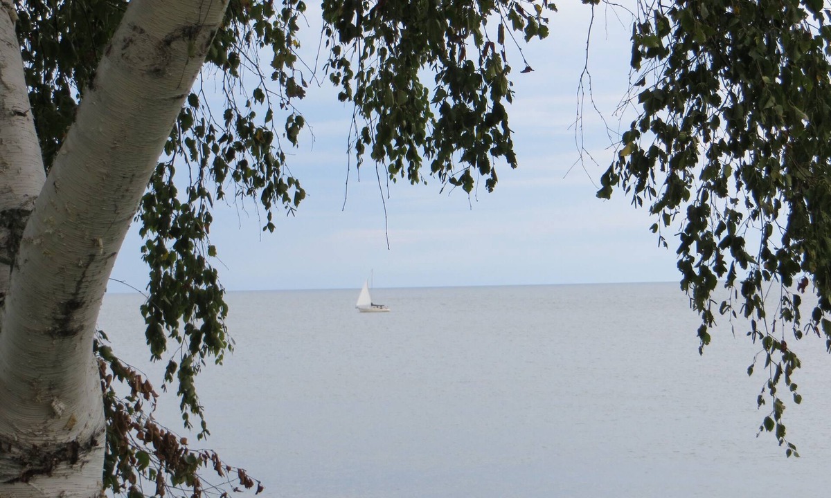Olcott Cottage | Tranquil lakefront cottagen3 bedrooms 2 bath, sleeps 6