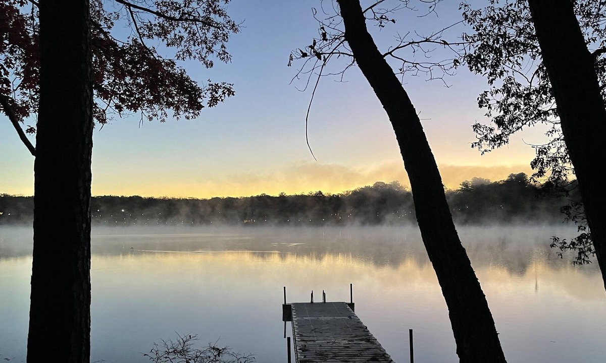 Rowland Cabin | Tranquil Lakefront Getaway ~ King Master~ Backyard