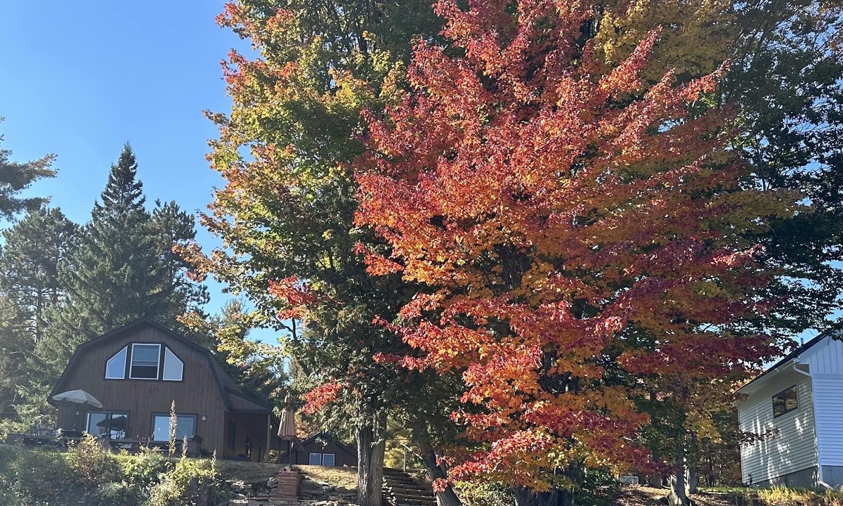 Potsdam House | Tranquil waterfront home