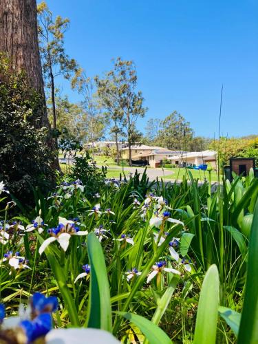 Port Macquarie House | Tranquillity on Point