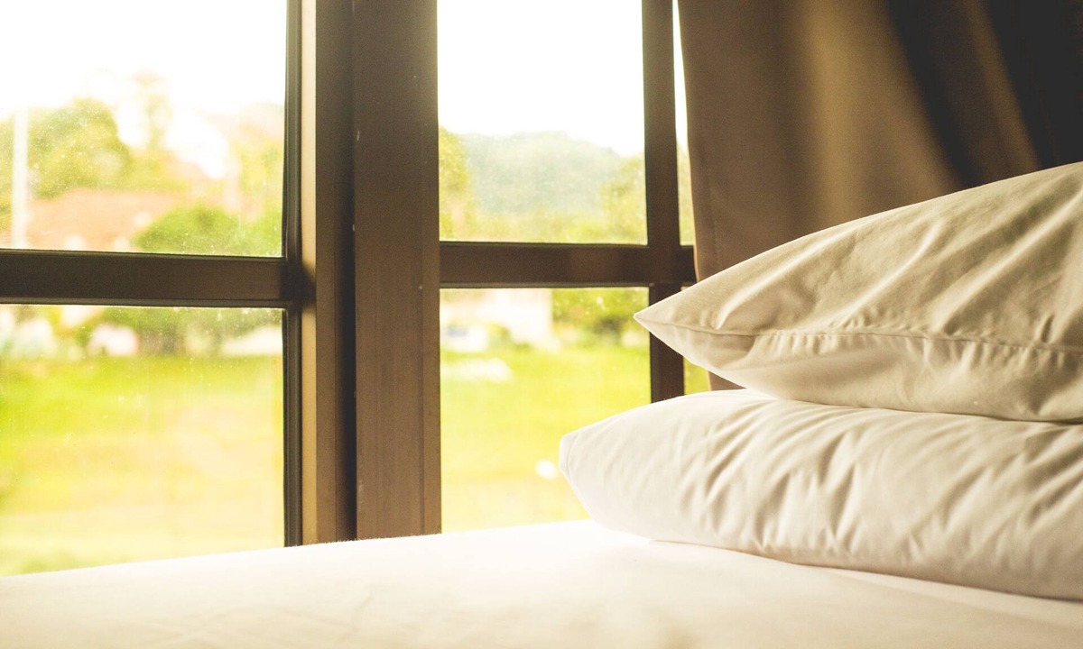 Tanah Rata Hostel | Traveller Bunker Hostel 1