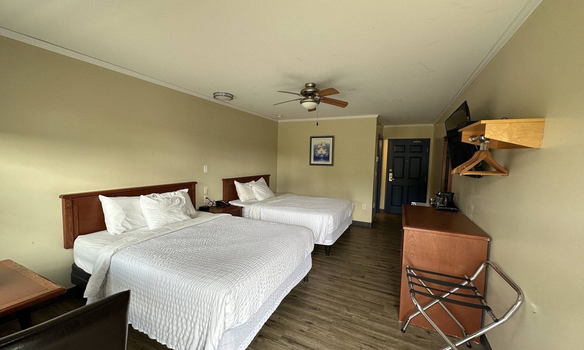 Waasis Hotel | Travellers Inn