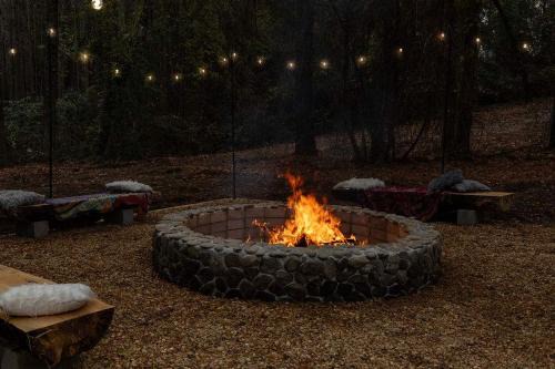 Pine Forest House | Tree Farm Stay Fire Pit & Grill WOW-King Suite