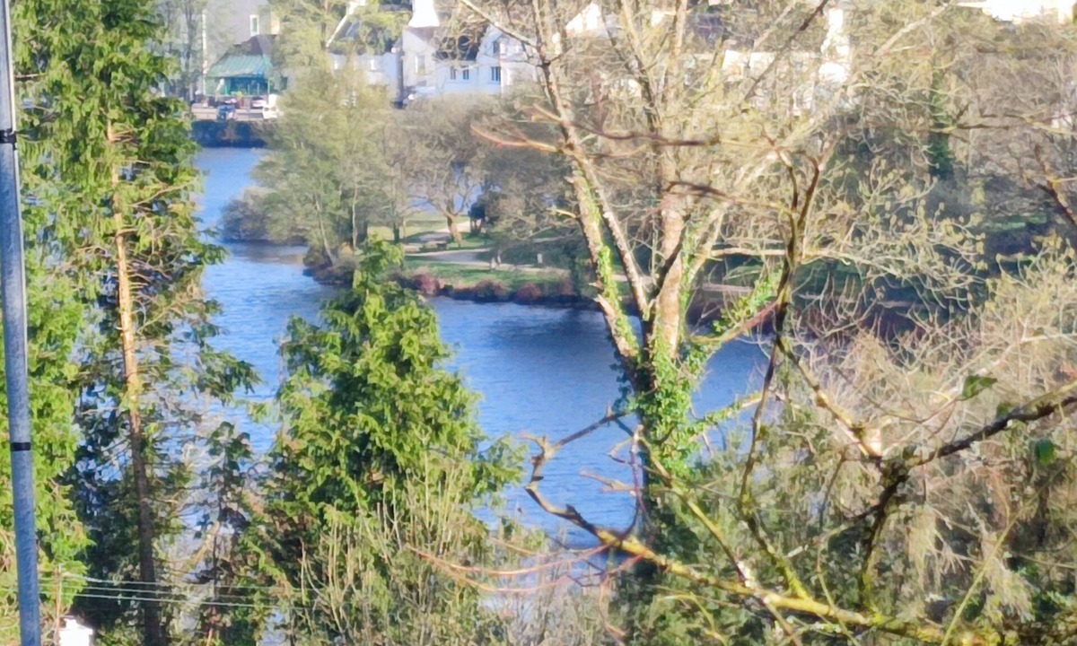 Huelgoat Cottage | Tree oasis .canopy terrace